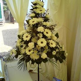 fwthumb46 pedestall arrangement 124.95.jpg